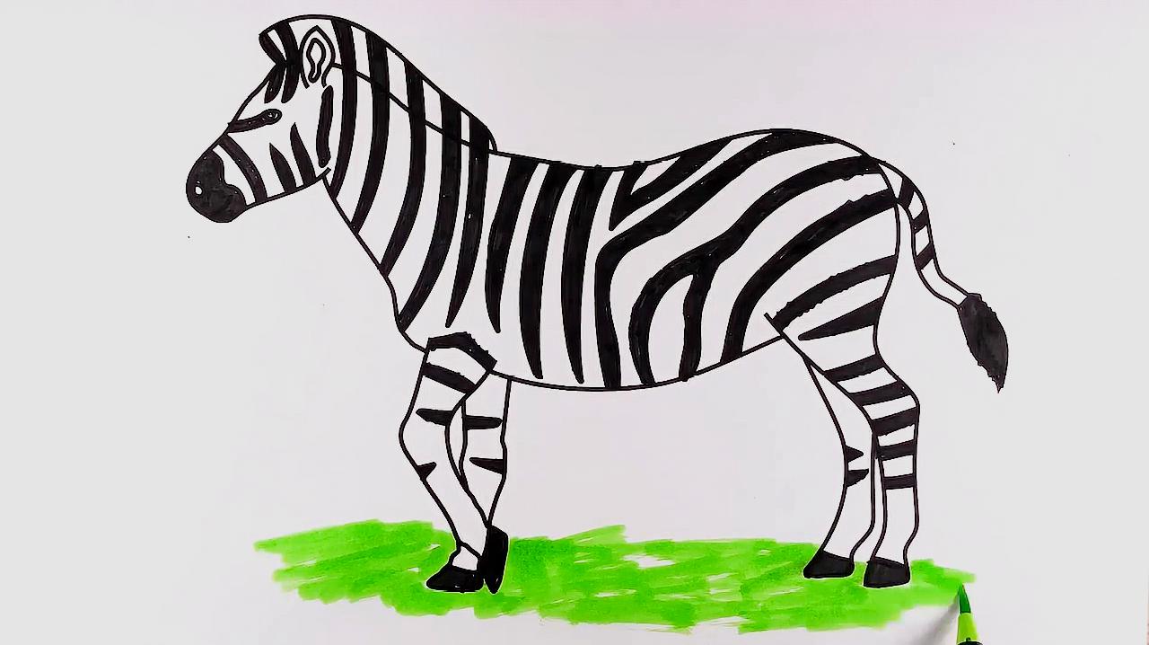 幼儿绘画学习,画一匹草原上的斑马!