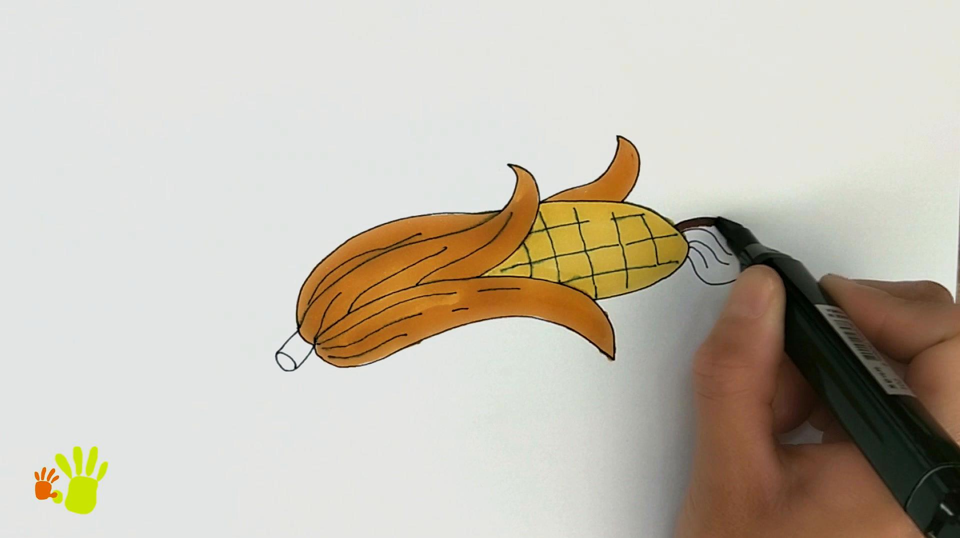 玉米简笔画怎么画