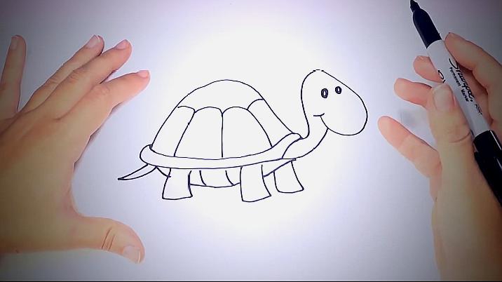 乌龟简笔画怎么画