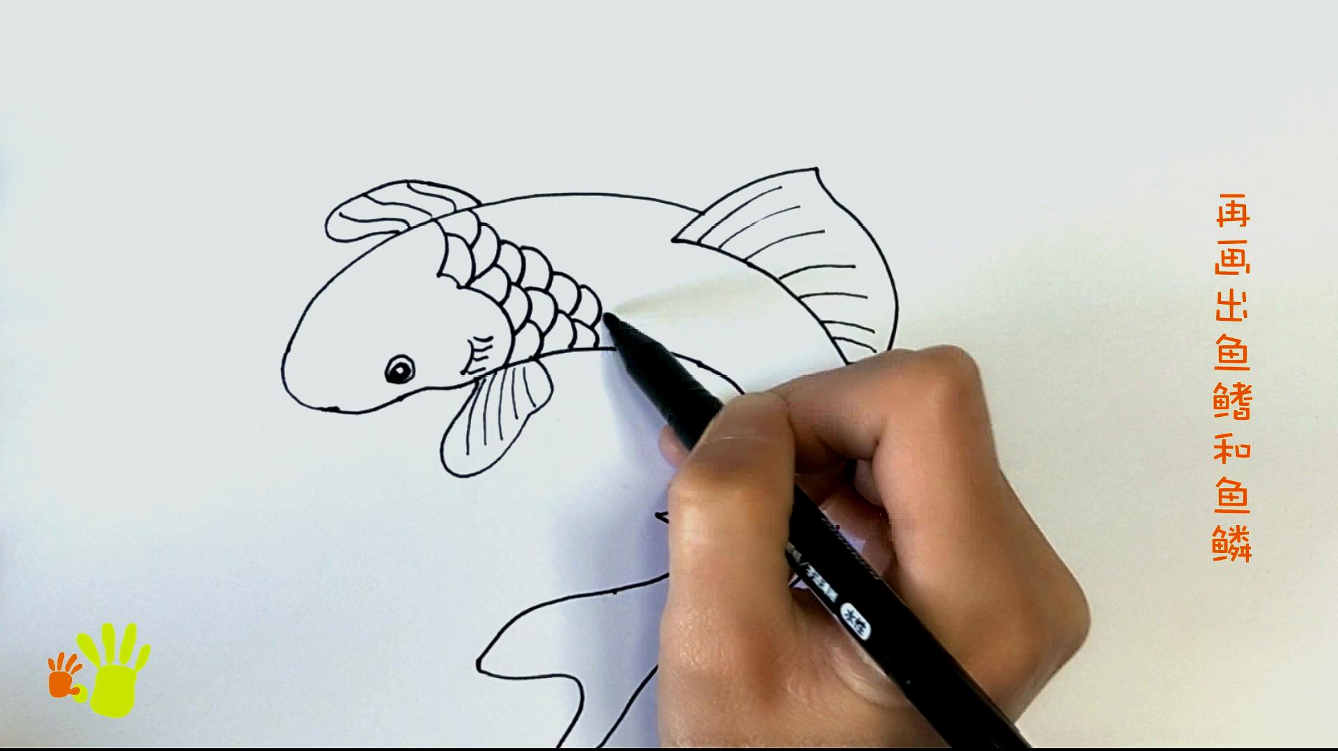鲤鱼简笔画怎么画?