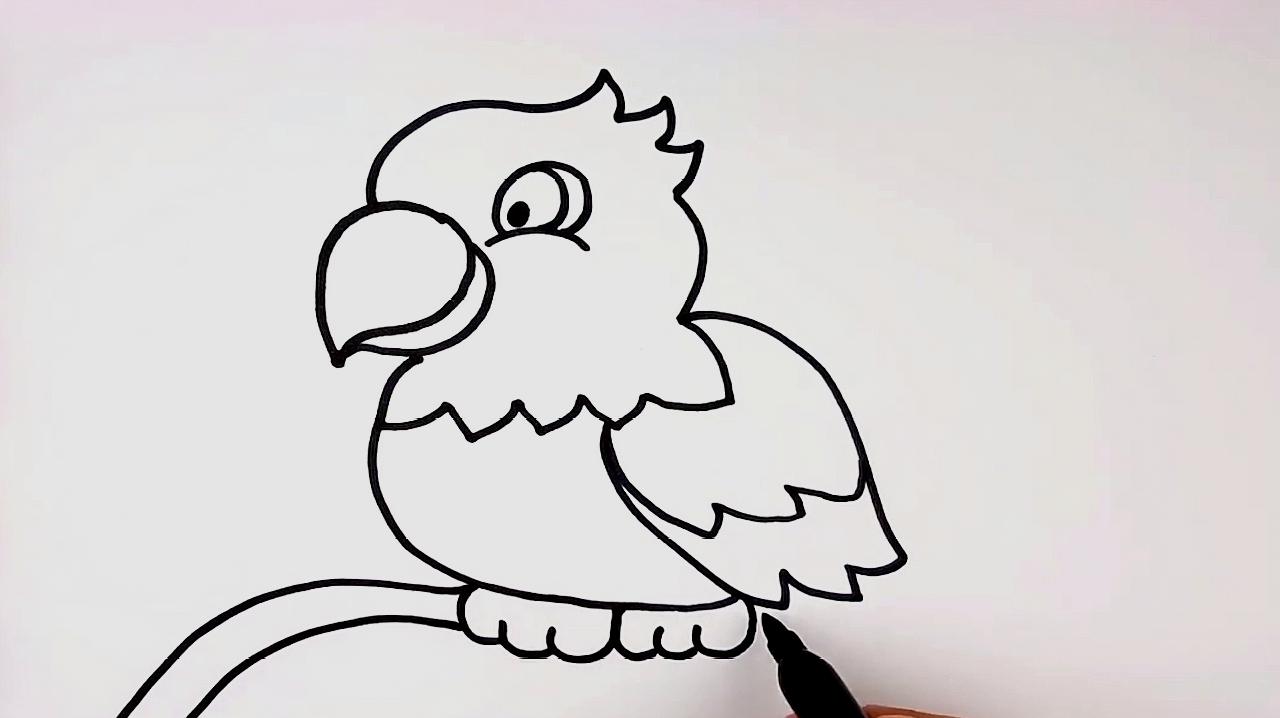 小鹦鹉怎么画