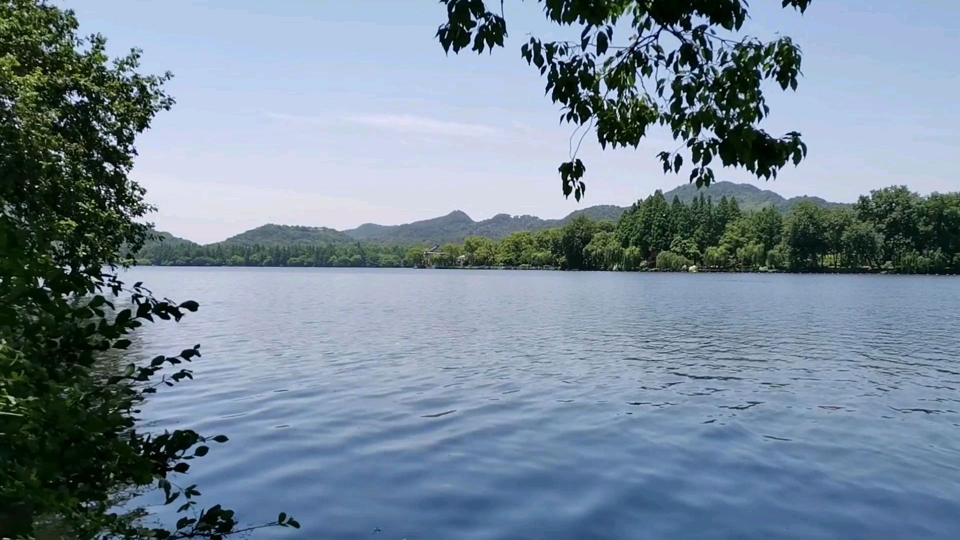 杭州西湖,西湖美景!