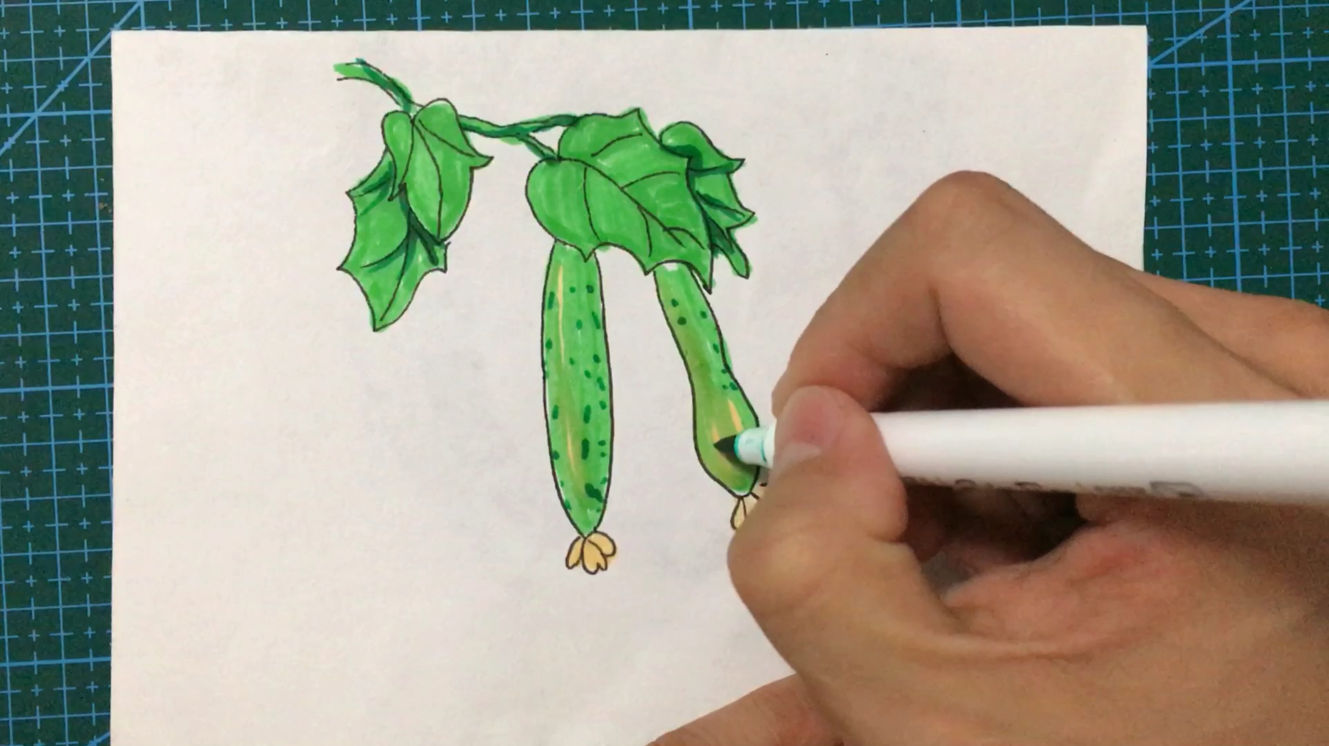 01:45  来源:好看视频-结在藤上的黄瓜简笔画,真好看!