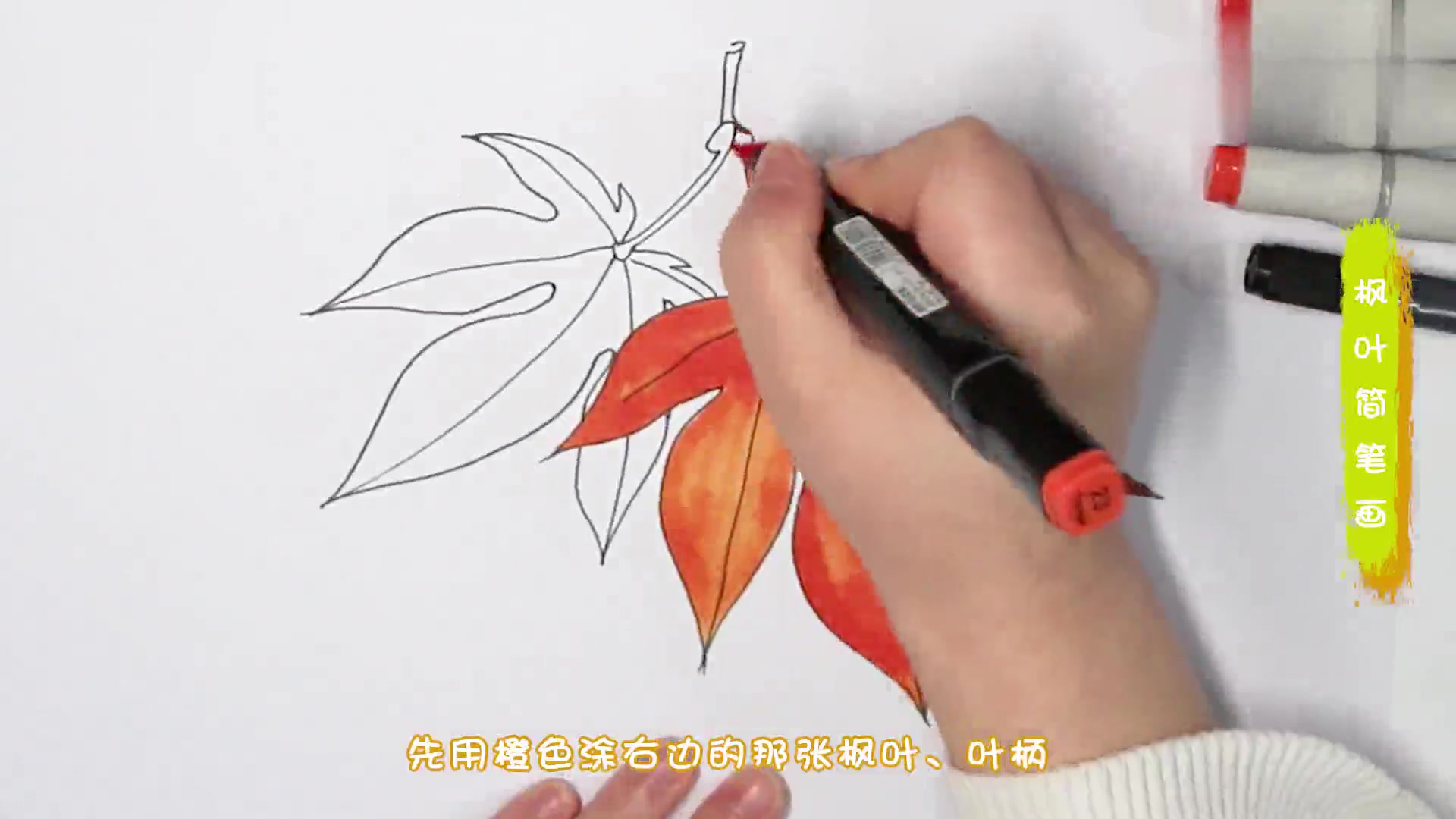 如何画枫叶的简笔画