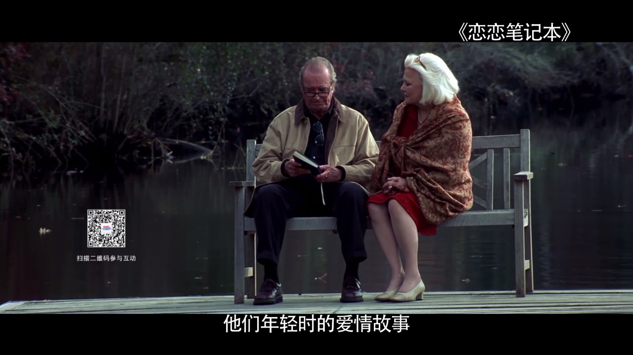 《恋恋笔记本》讲述夏日下的完美爱情 网友直呼:男女主太配了