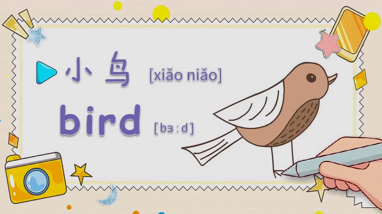 亲子英语绘画:窗外的小鸟不停的叫着,你知道它的英语吗?
