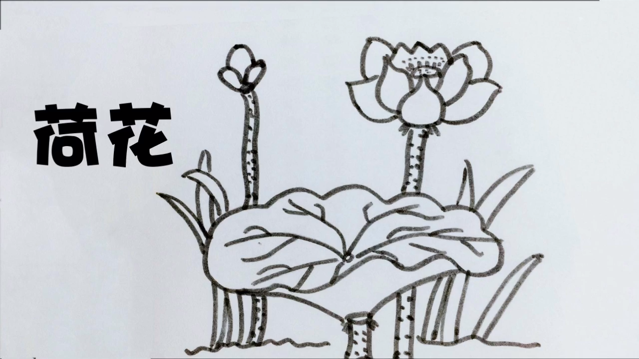 亲子简笔画:荷花池塘