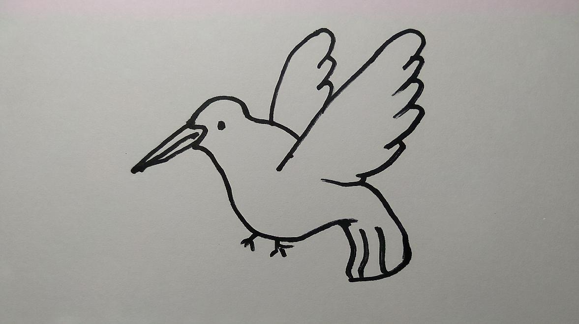 01:40  来源:好看视频-鸽子简笔画大全幼儿教程:画只肥肥的鸽子