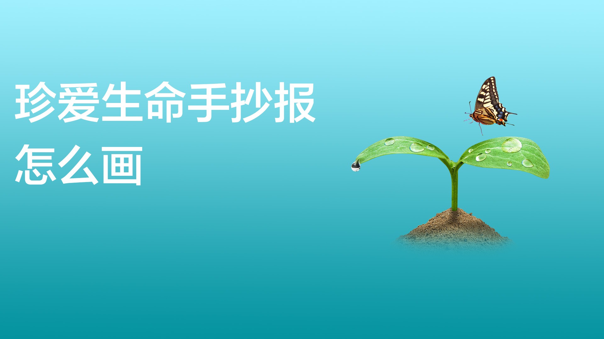 珍爱生命手抄报怎么画