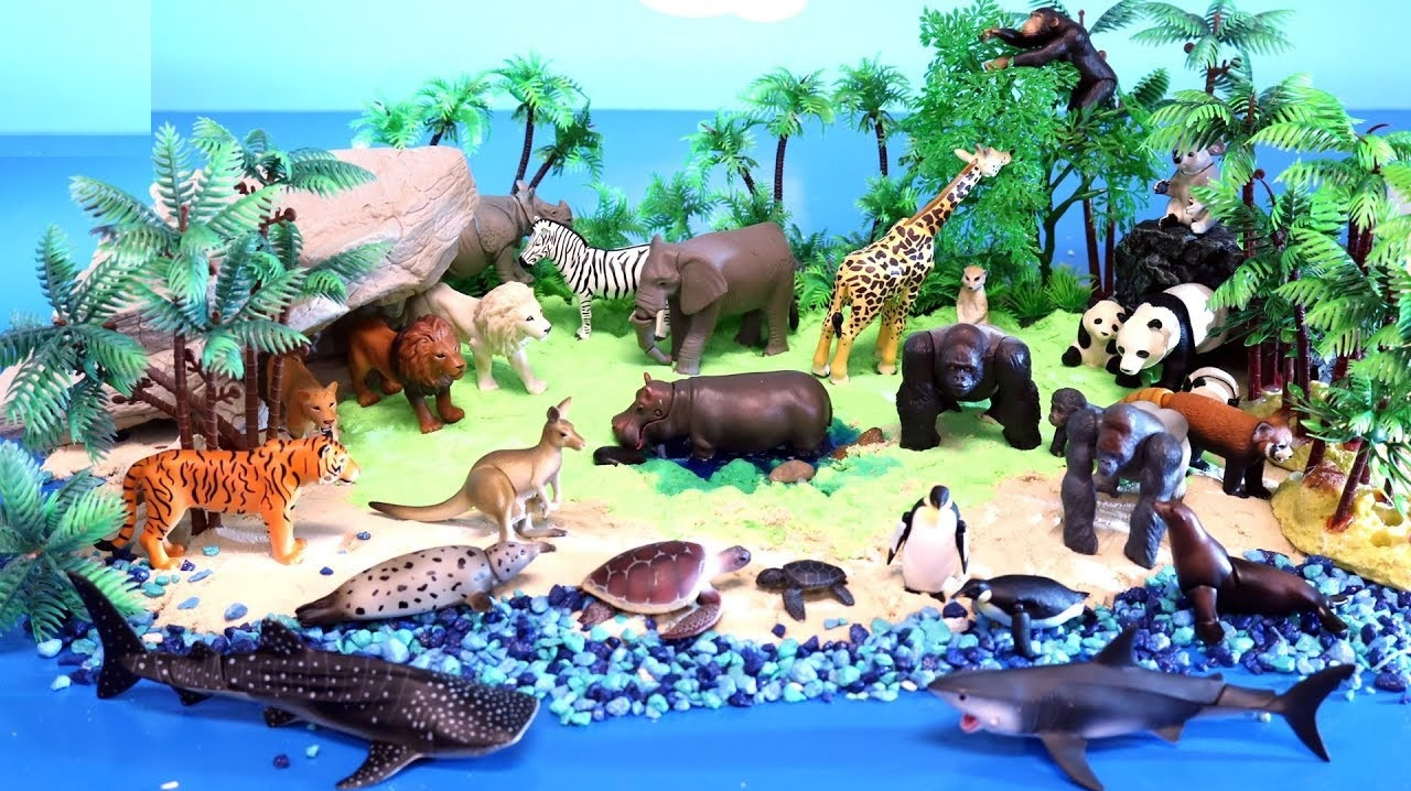 动物园和水族馆的小动物们来到小岛度假