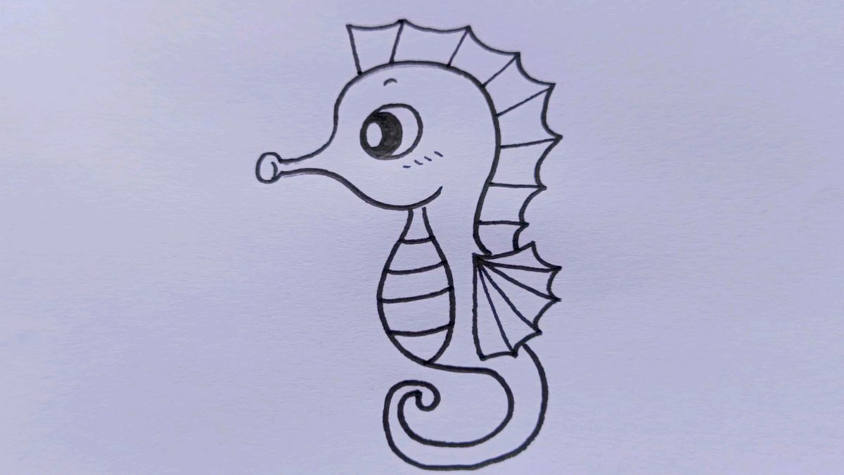 怎么画出八种常见海洋动物简笔画