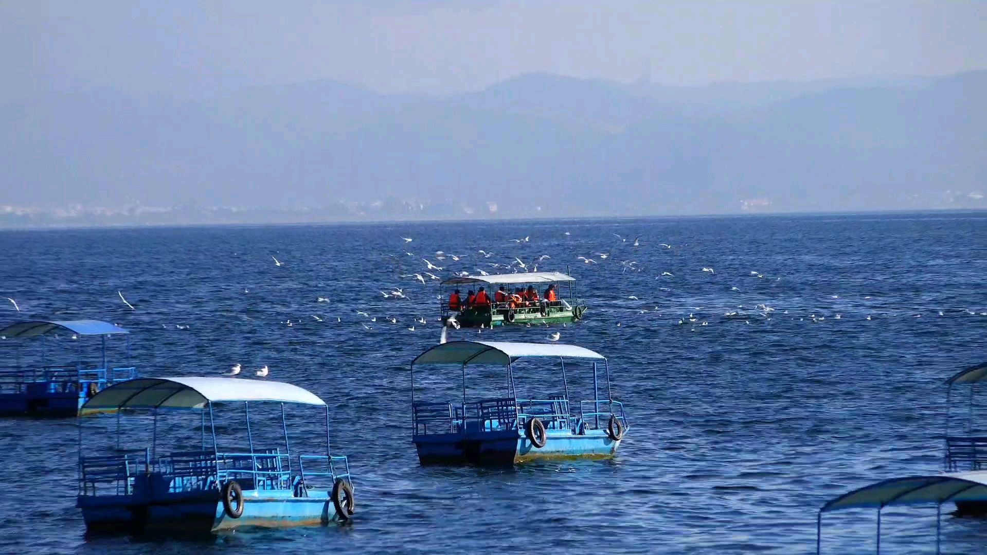 抚仙湖旅游必去景点