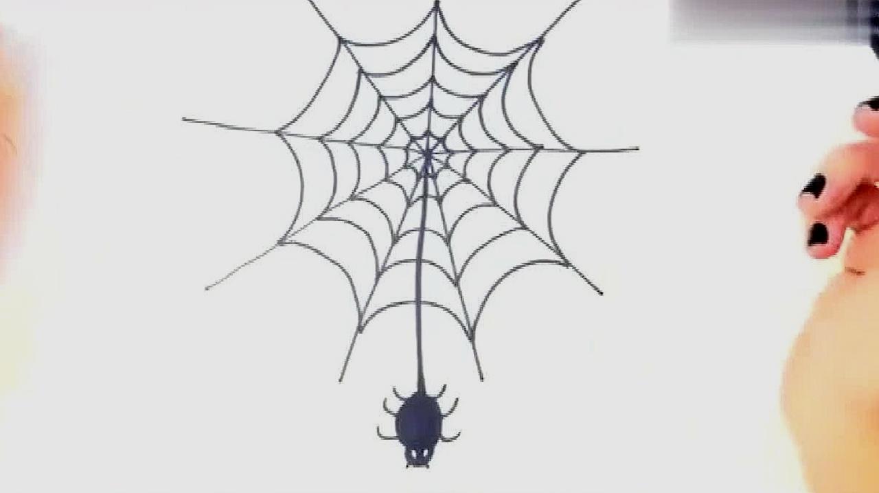 蜘蛛网简笔画,你会画吗