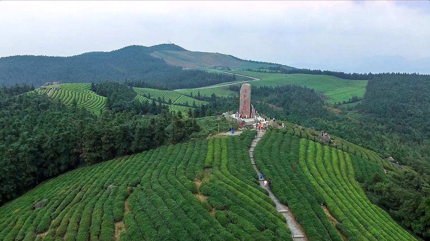 世界那么大,我想去宁波福泉山感受茶文化