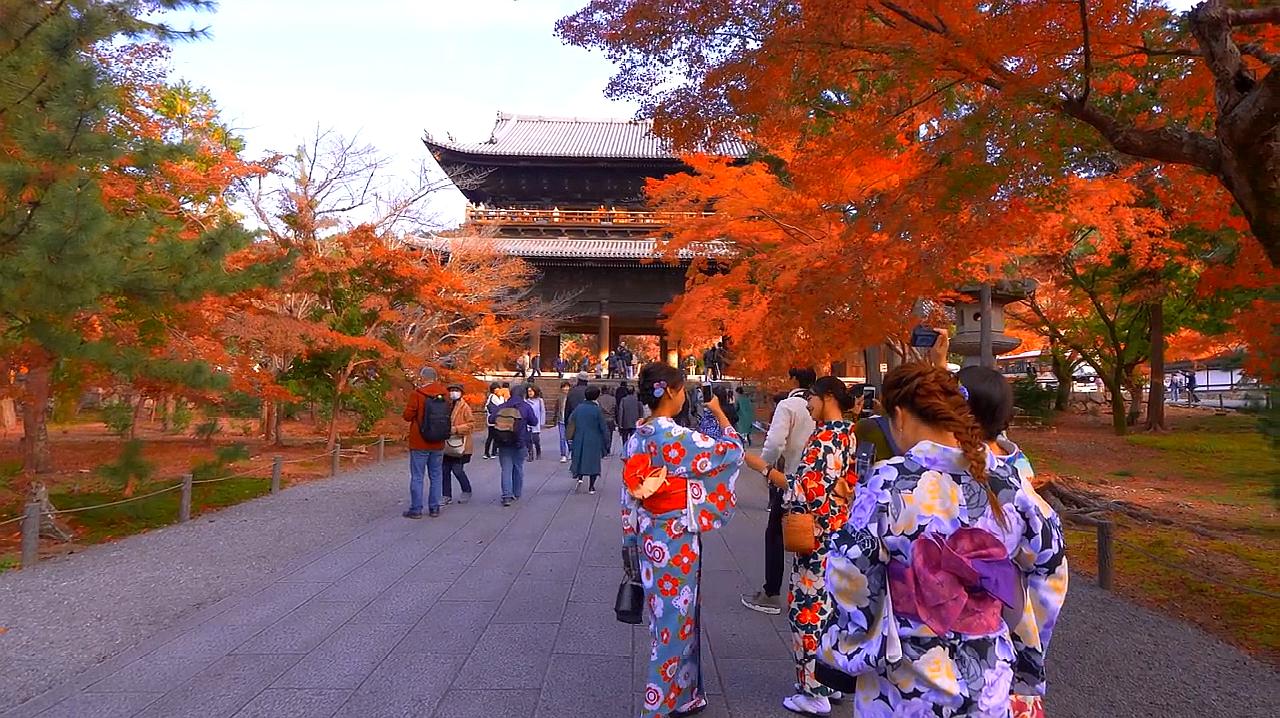 日本旅游:实拍京都南禅寺的枫叶,真是美极了!