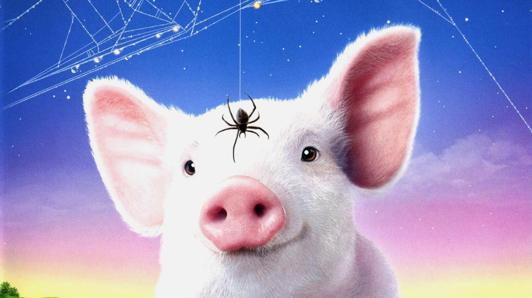 奇幻电影《夏洛特的网》,网红小猪为了不被吃,竟和蜘蛛做了朋友