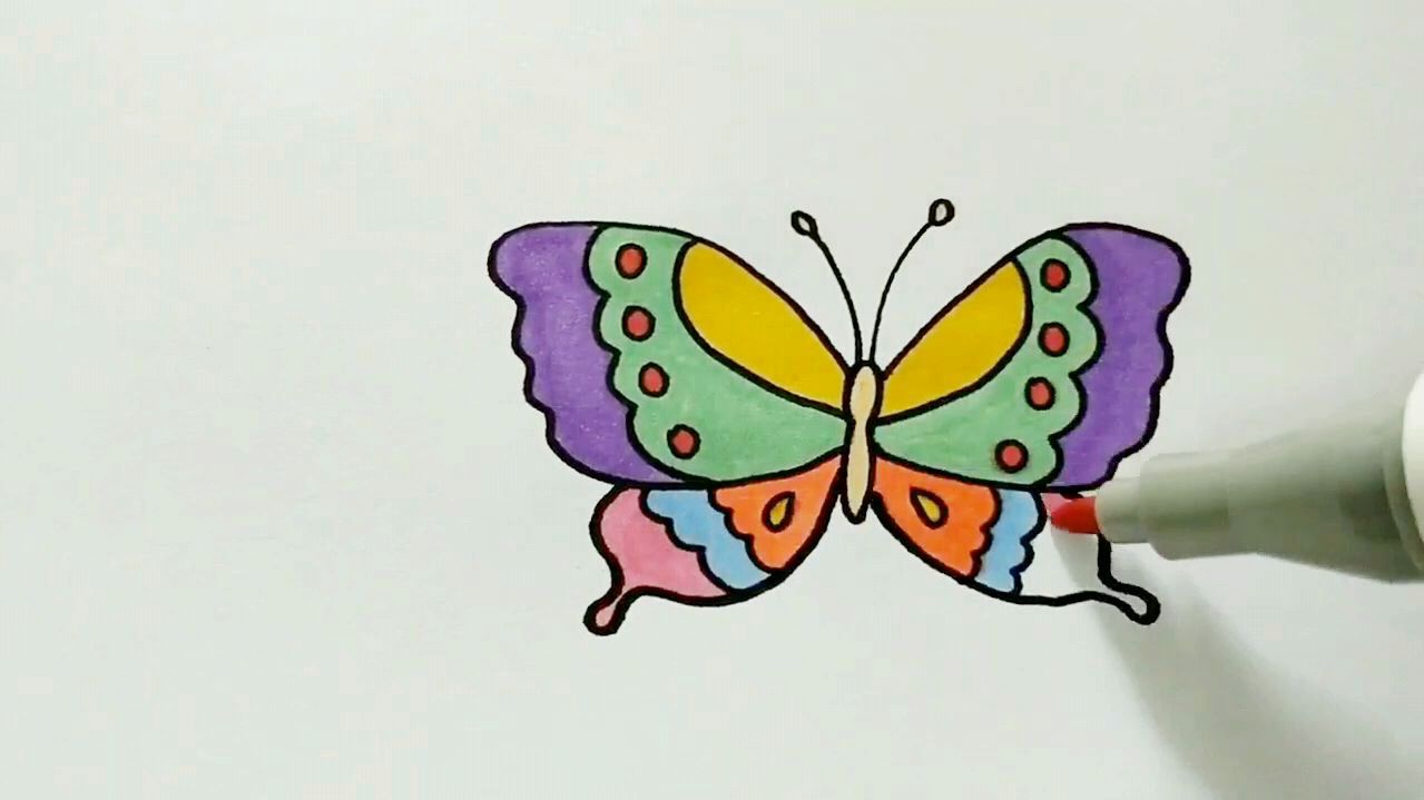 彩色蝴蝶简笔画怎么画