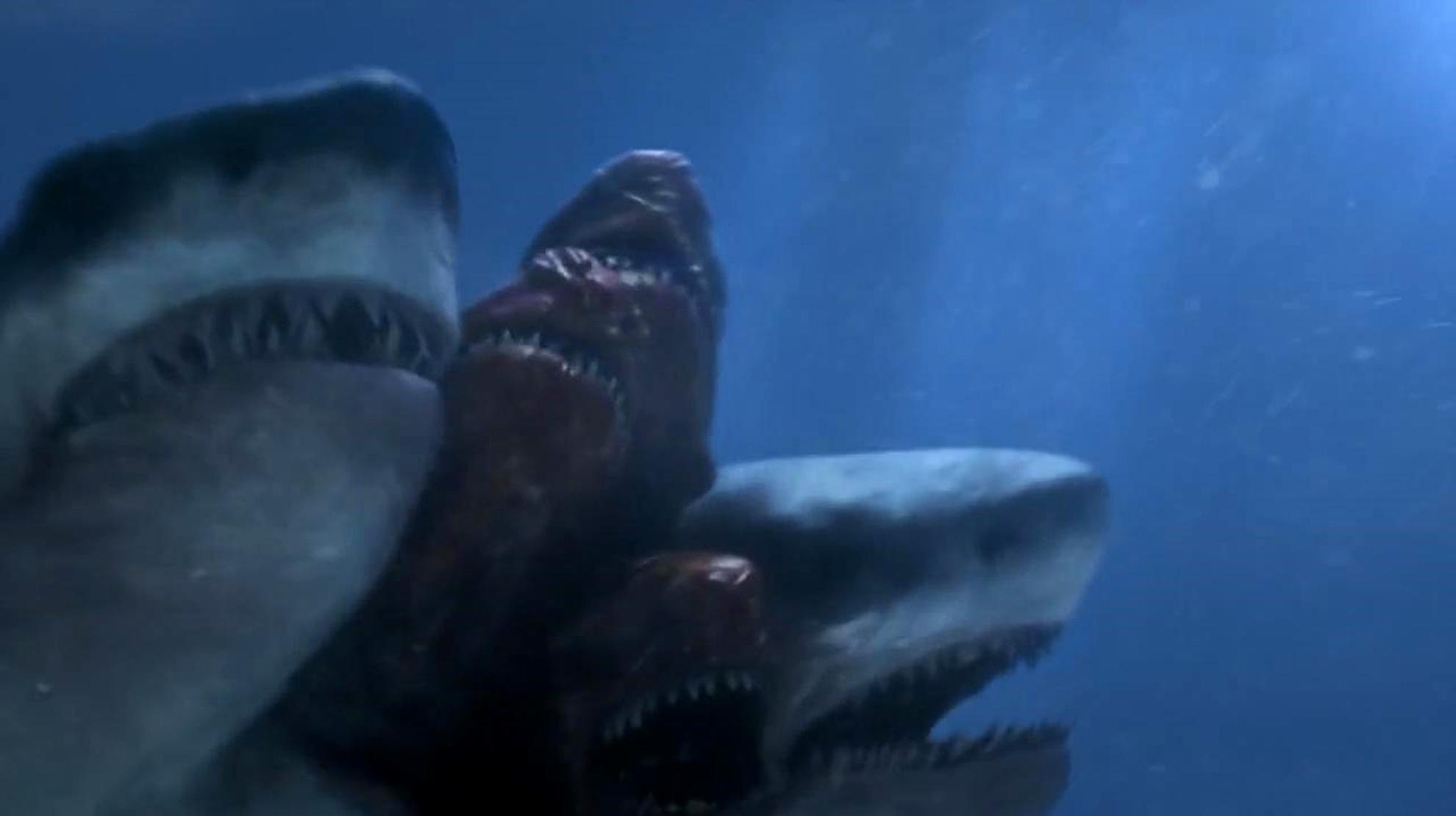 鲨鱼因海洋污染变异,长出三个头,砍掉一个后又长出三个头