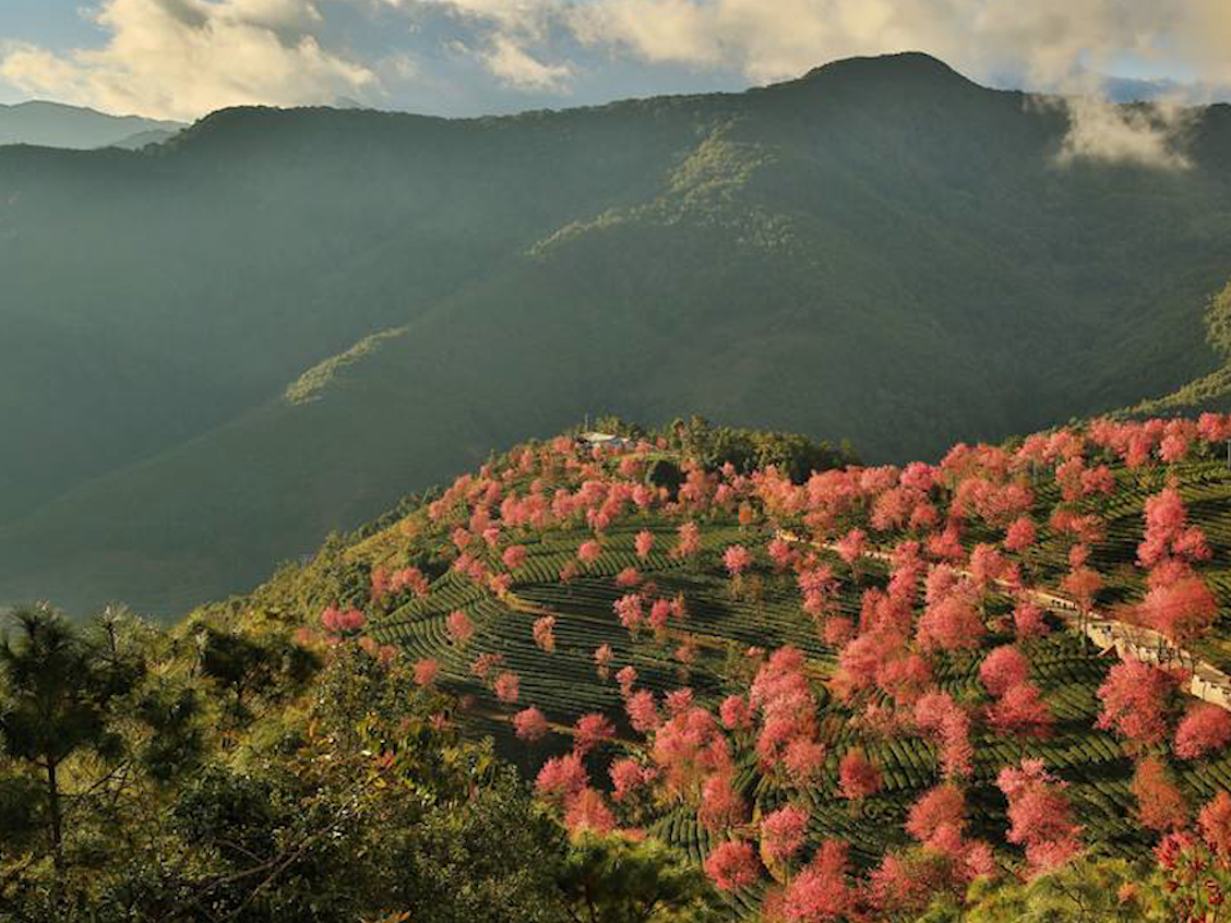 「秒懂百科」一分钟了解无量山