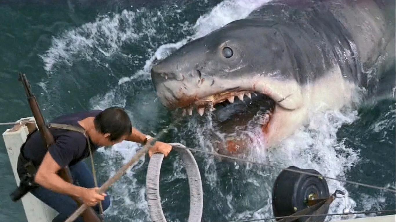 大海危险!8部惊心动魄的鲨鱼电影,看完你还敢