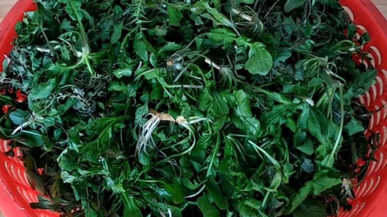 荠菜怎么做好吃?