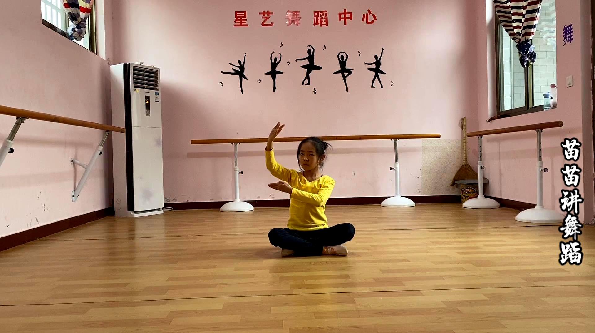 好看视频-中国舞蹈家协会舞蹈考级教材第七级教学课程分享之《孔子曰