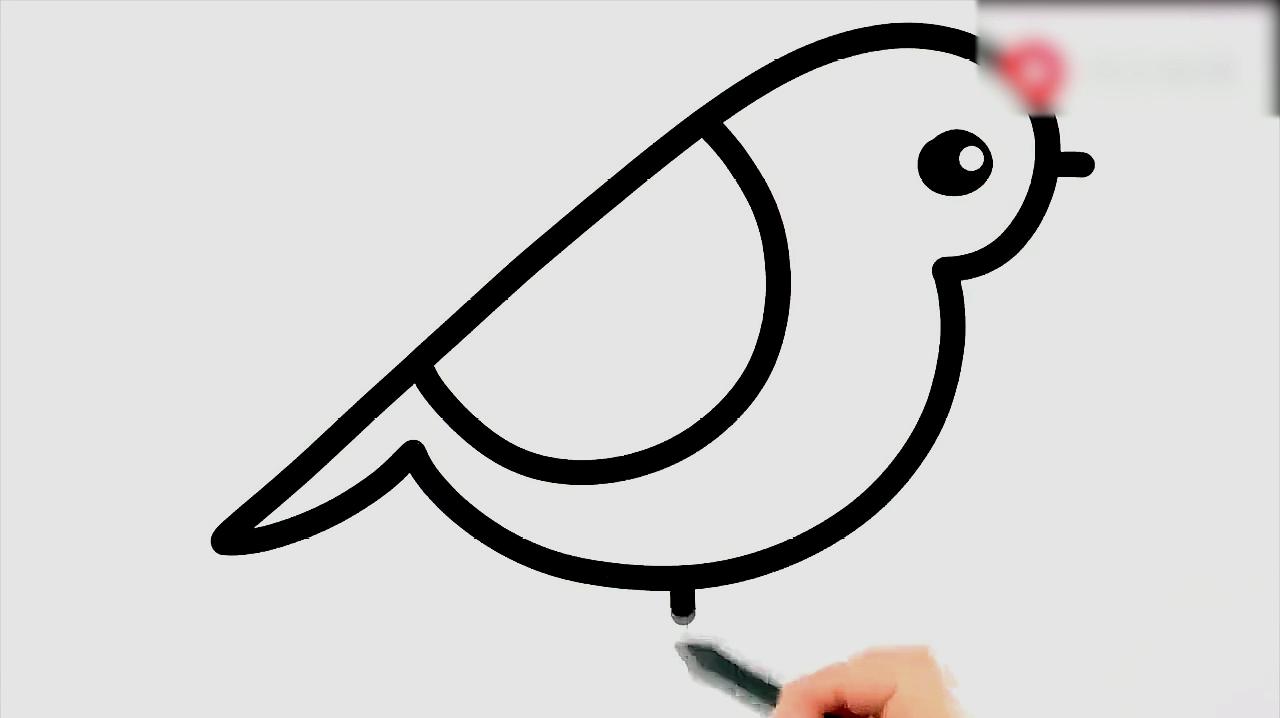 趣味鸟简笔画,如何画小鸟并涂色,哪一只更漂亮?