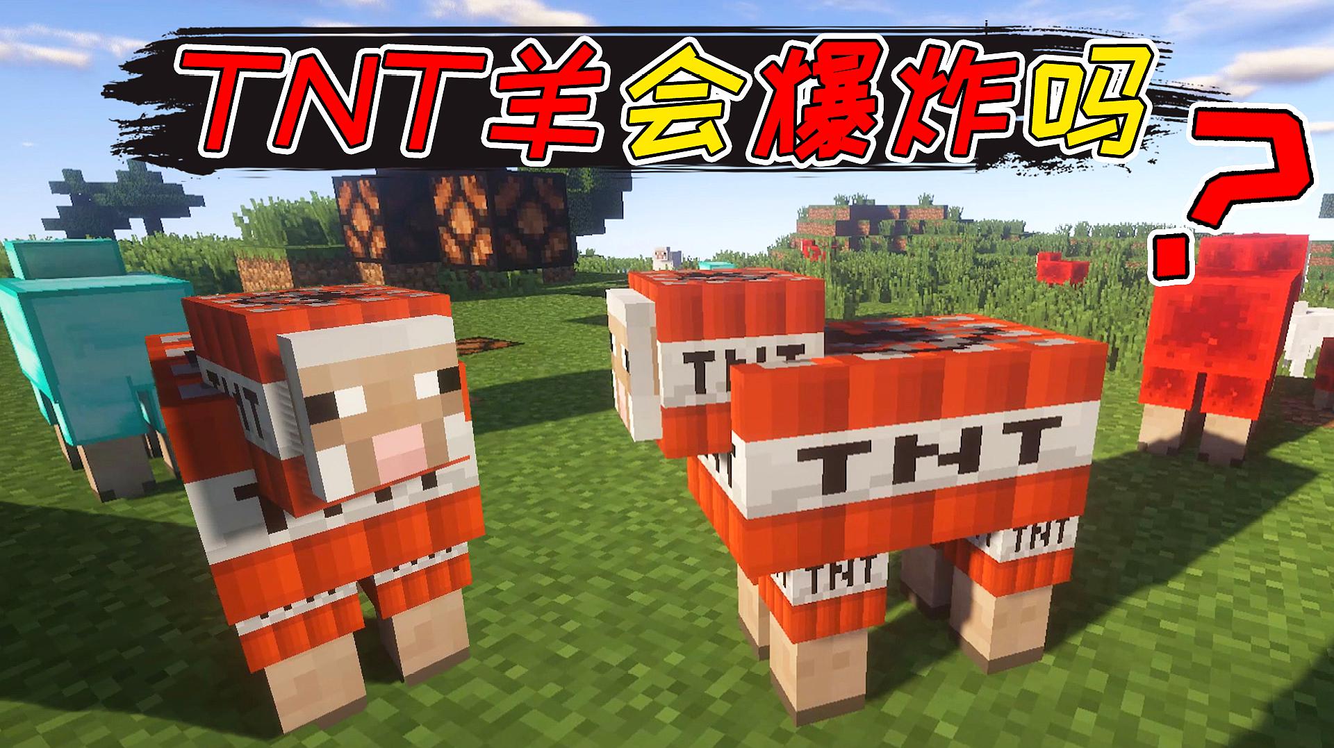 我的世界:tnt羊,会爆炸吗?小羊:不要点火!