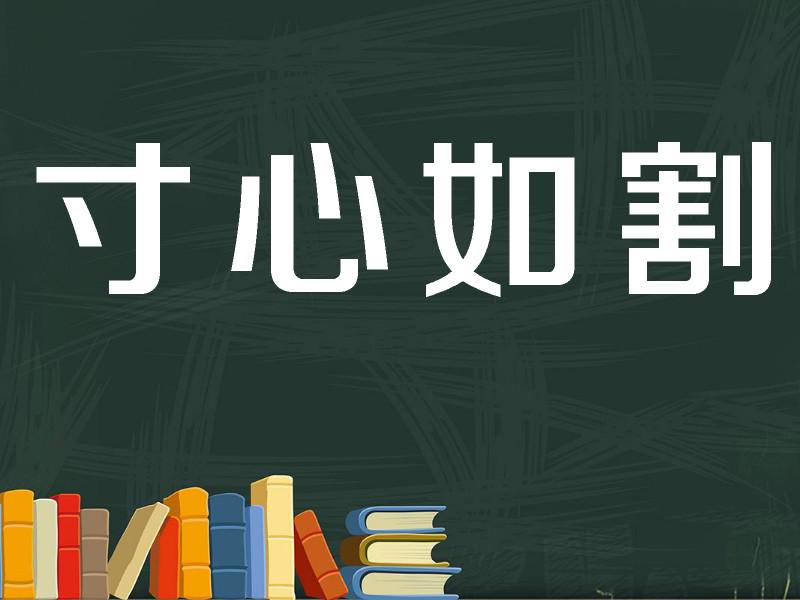 【秒懂百科】一分钟了解寸心如割