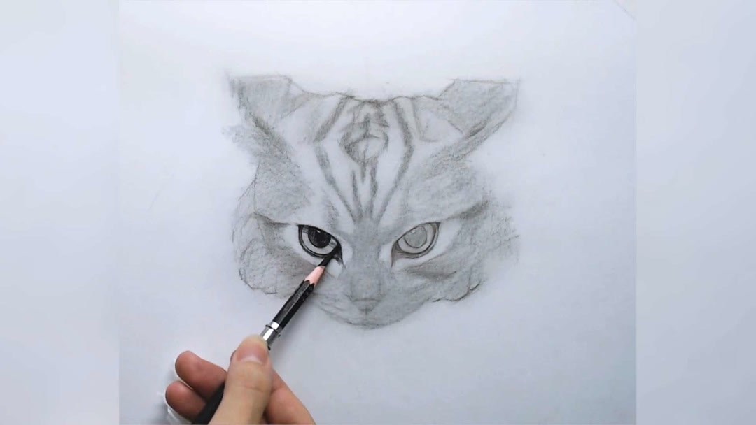 教你们用素描画一只萌到爆的猫咪!速成素描教程