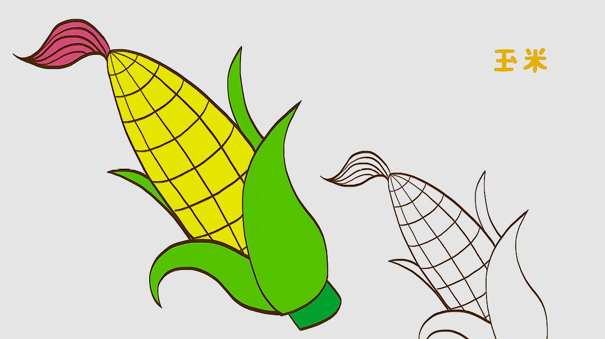 玉米简笔画怎么画
