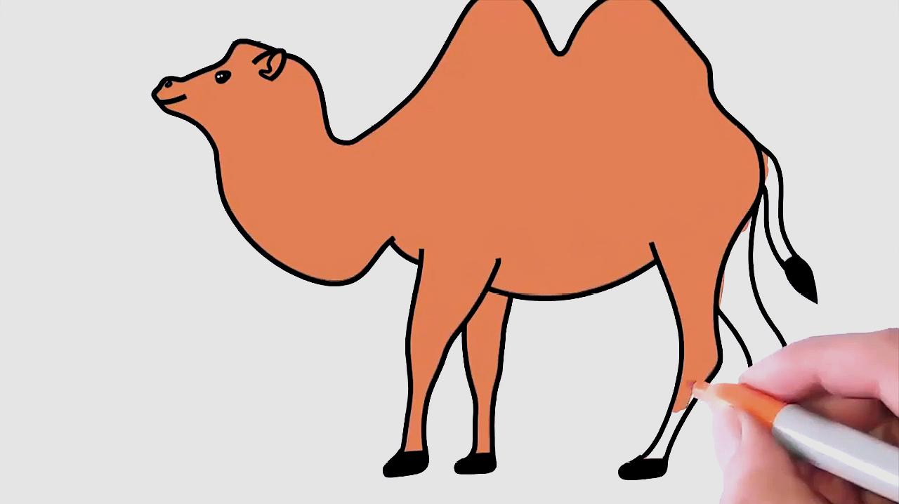 骆驼简笔画怎么画