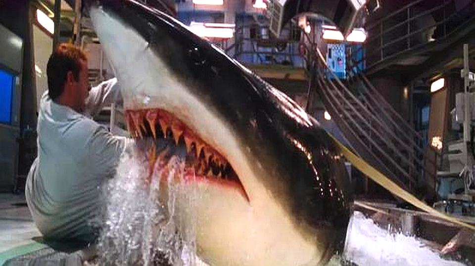 强烈推荐,几部有关鲨鱼题材的电影,你敢看吗?