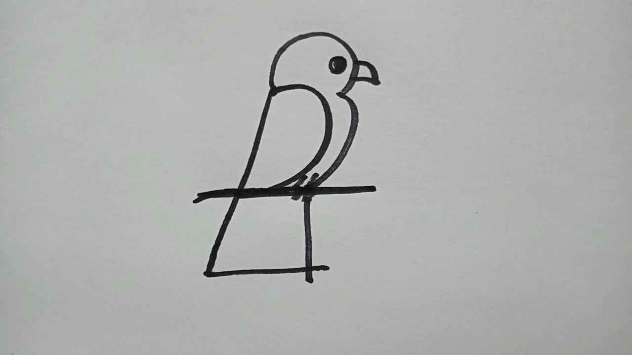 慢动作教你用1234画小鸟