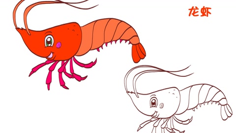 02:32  来源:好看视频-简笔画大全,龙虾 服务升级 2卡通小龙虾简笔画