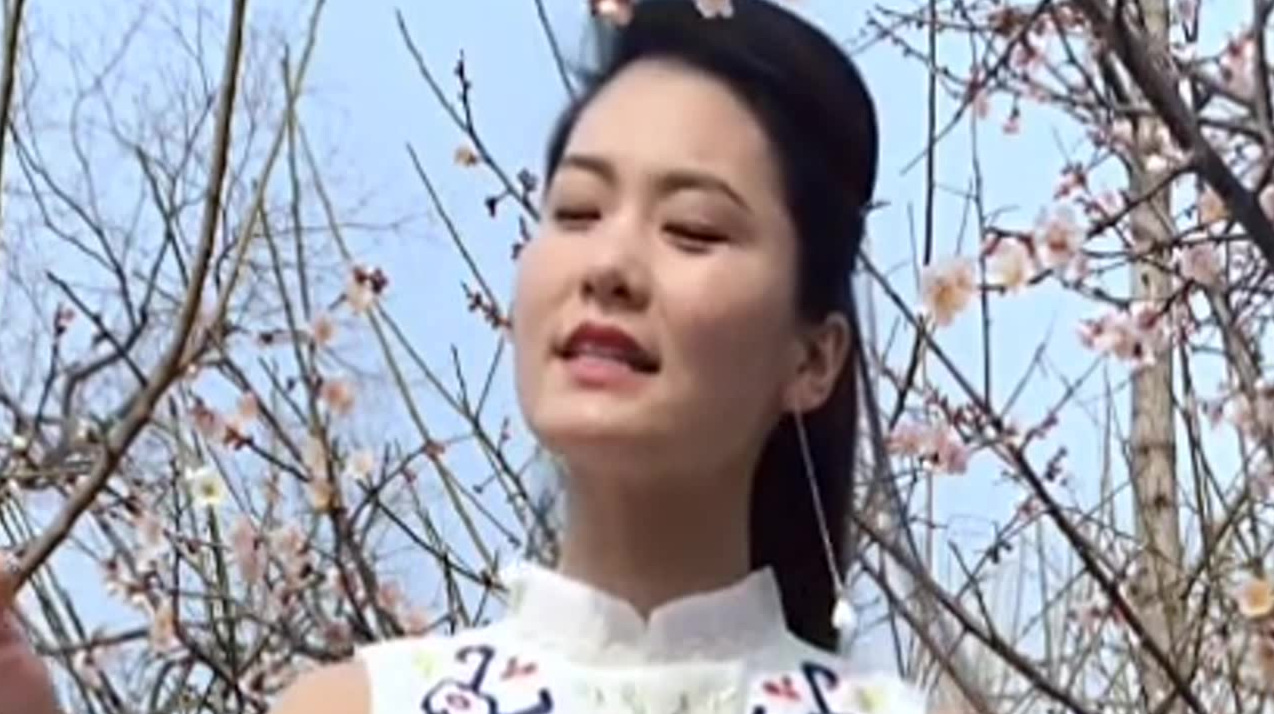 【翻唱】网红歌曲《梅花泪》