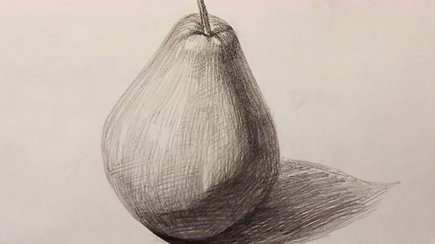 素描单个静物水果-梨的画法:小小的一个梨画起来技巧也是很多的
