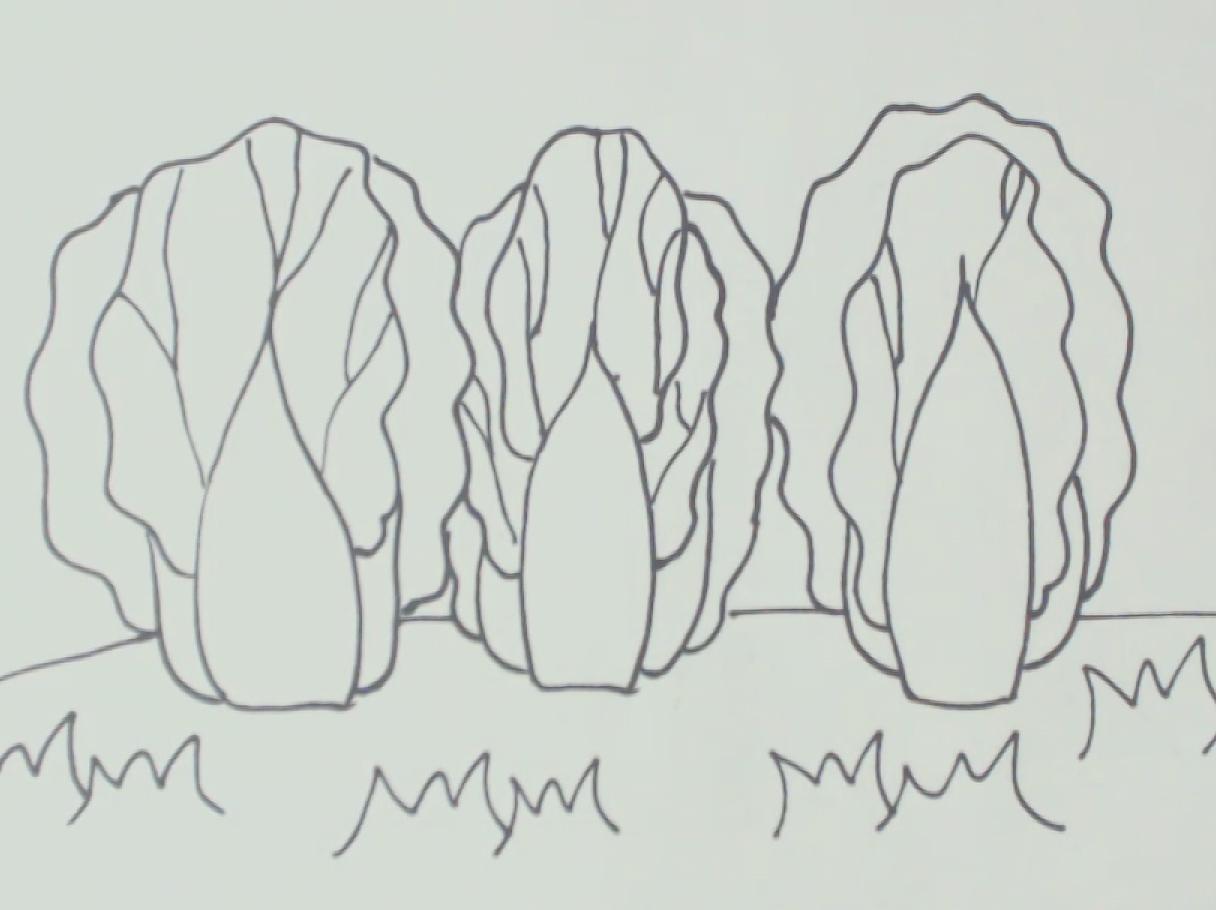 00:47  来源:好看视频-大白菜怎么画,白菜简笔画这样简单!