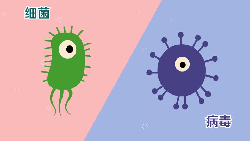 「秒懂少儿」细菌和病毒的区别