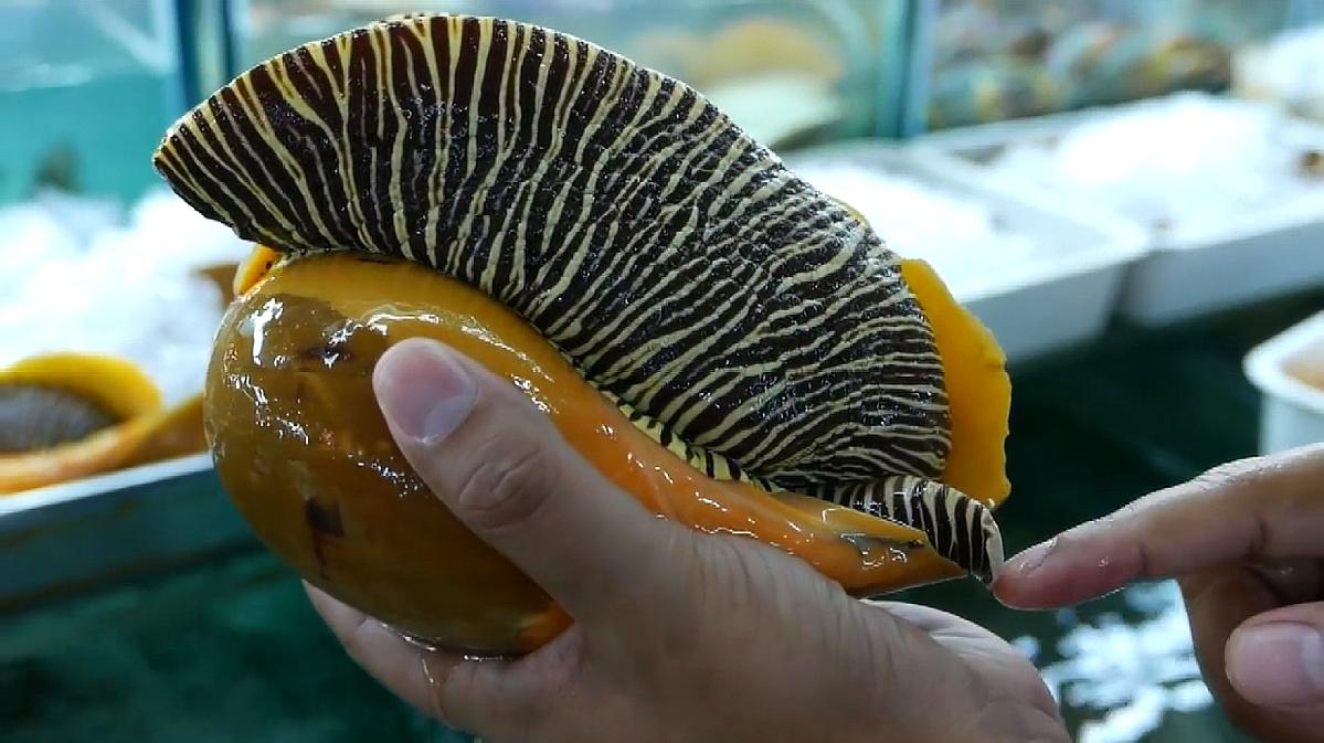 椰子螺怎么做好吃