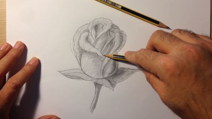 玫瑰花怎么画?玫瑰素描简单画法步骤,素描入门基础