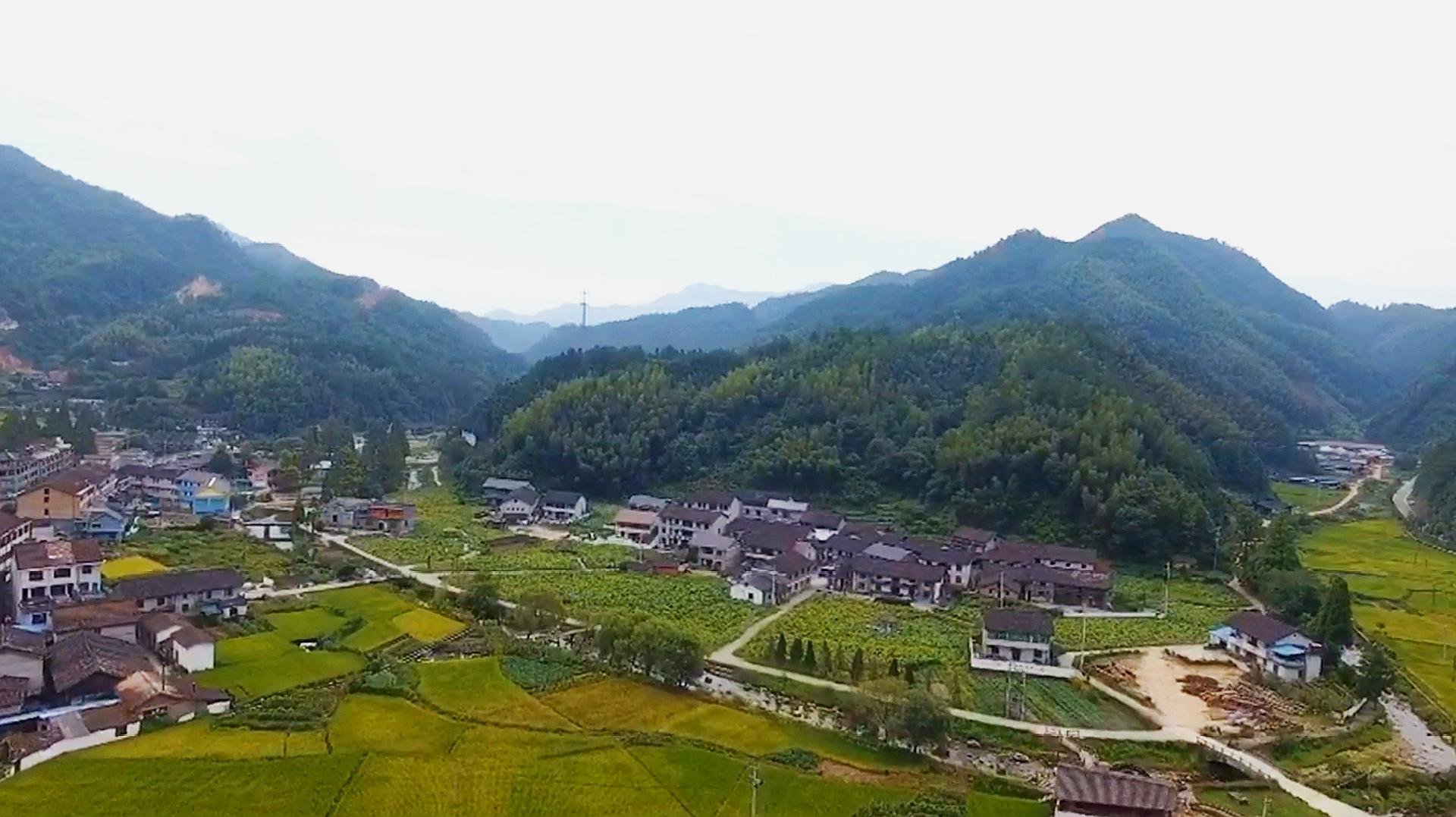 国内六大免费旅游景点,溪头村被誉为广州最美乡村,此生一定要去