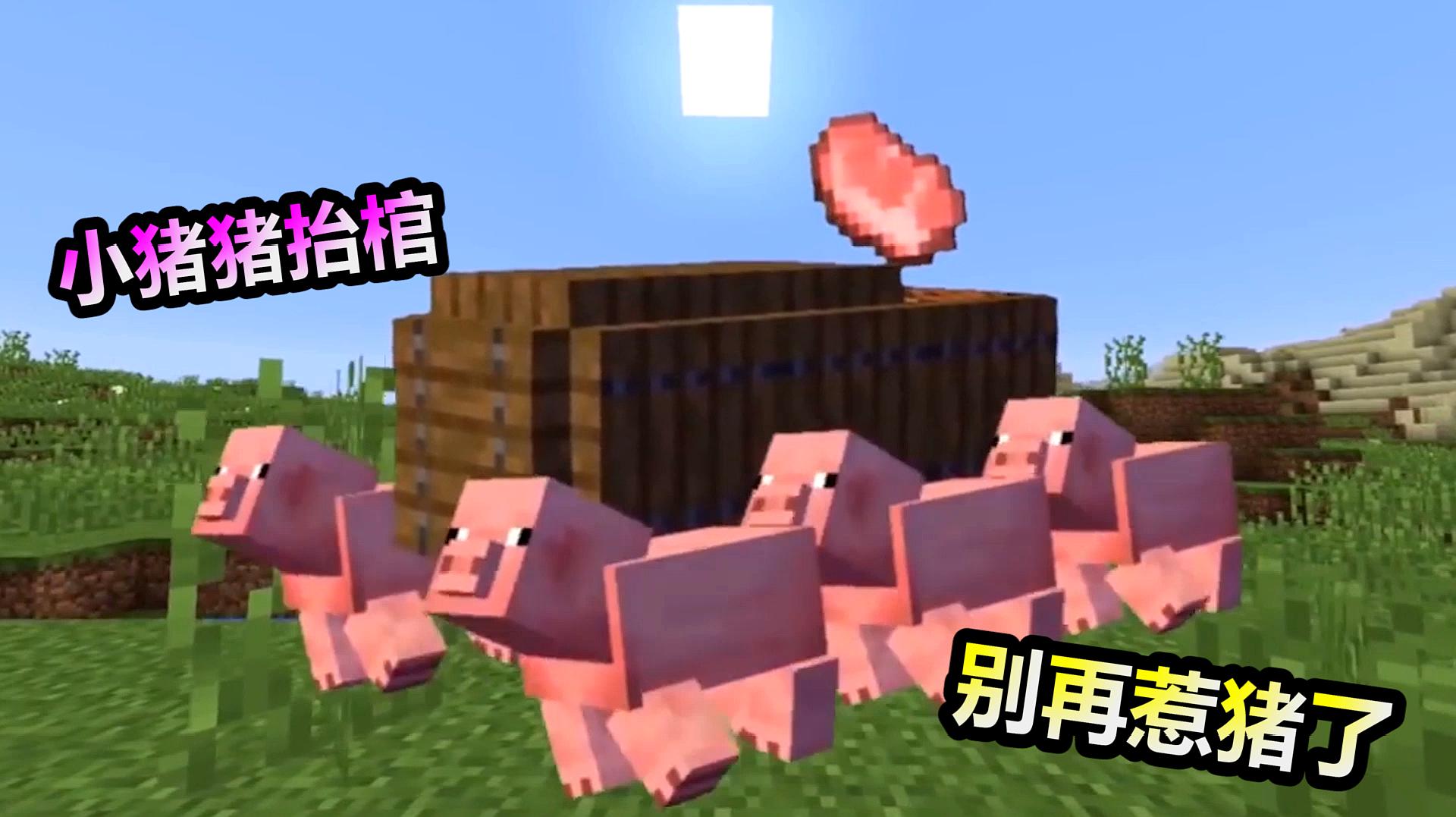 mc我的世界:小猪猪抬棺在游戏里什么感觉?玩家别再惹小猪猪了