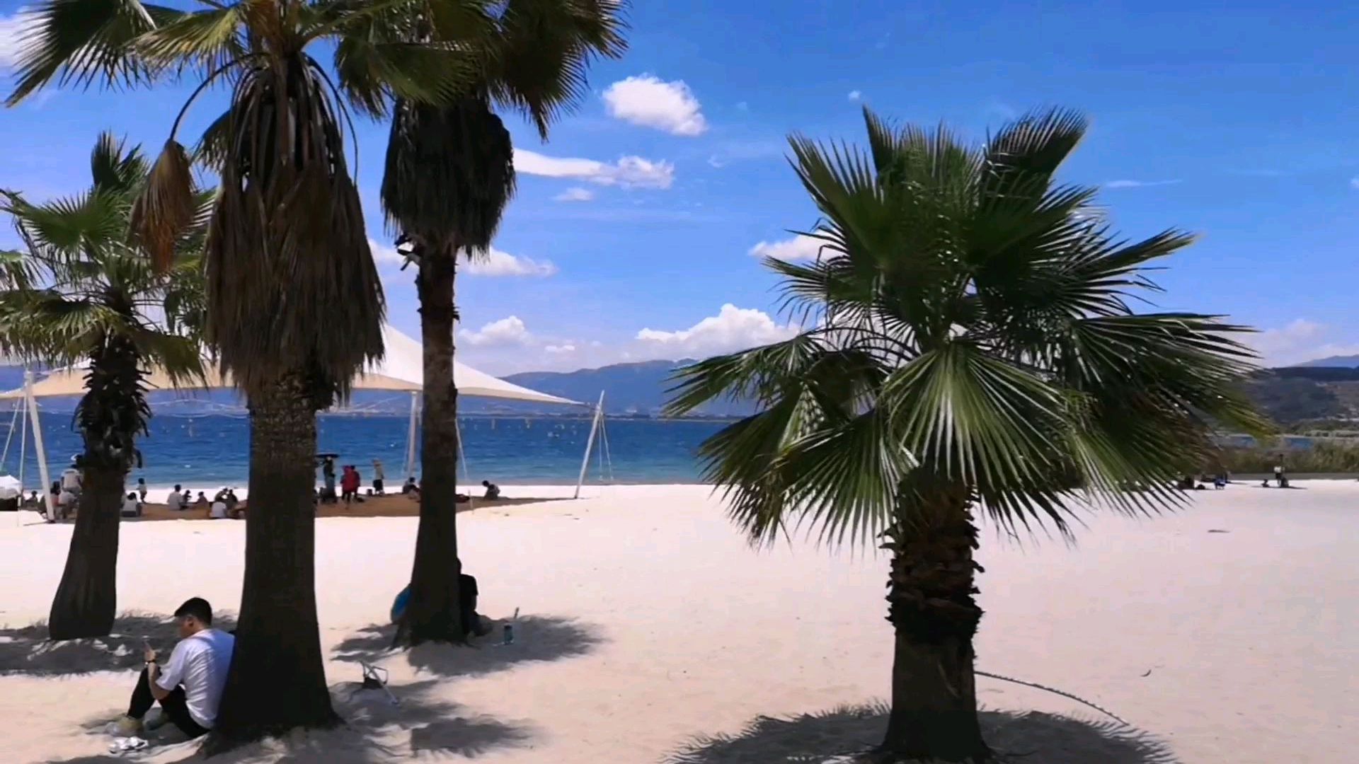 抚仙湖旅游必去景点