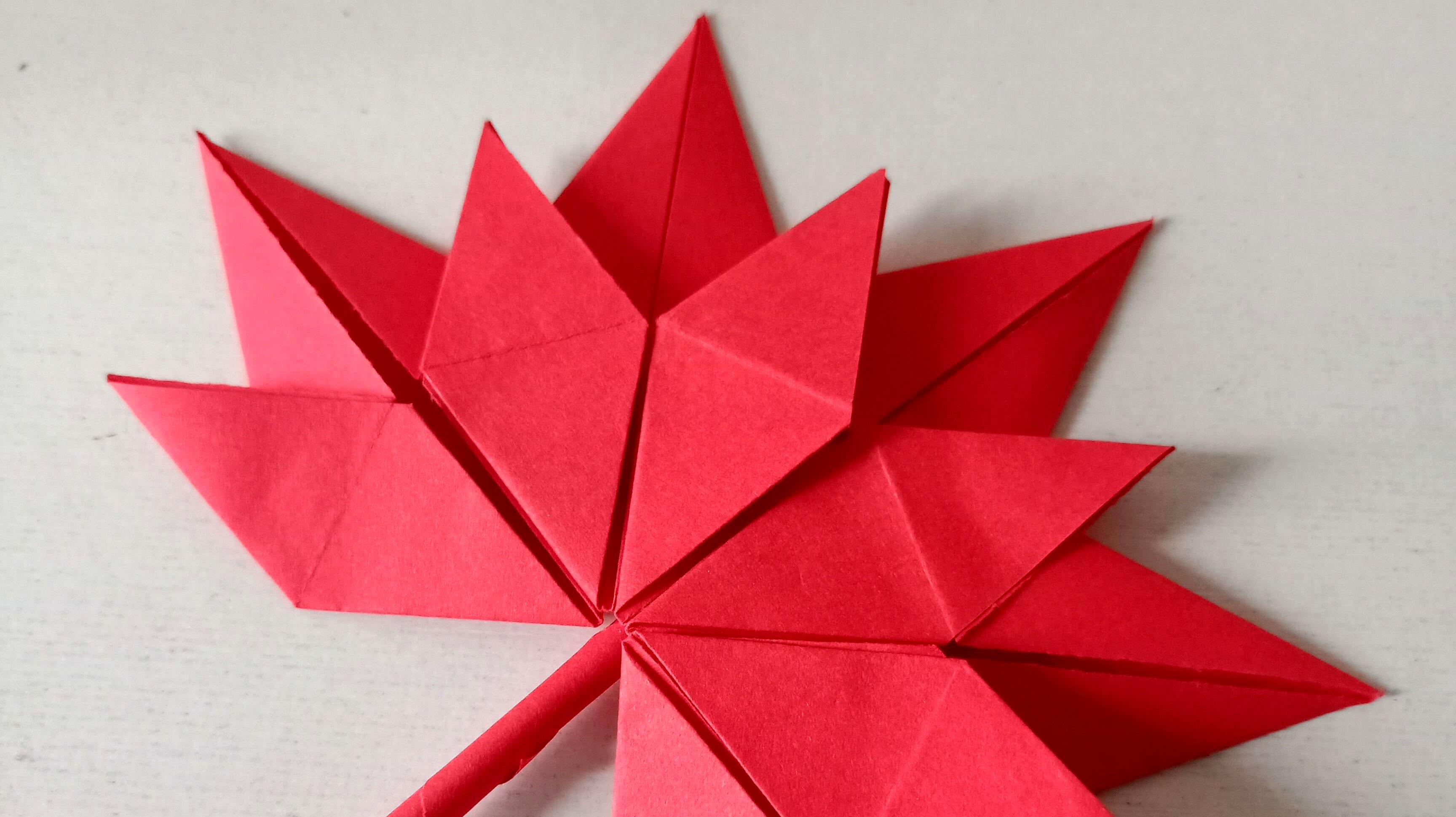 手工折纸:看一遍就能学会的枫叶折纸