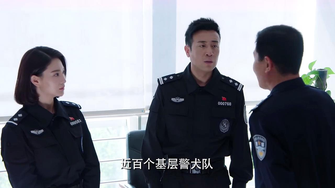 《警犬来啦》精彩片段速看,杨蓉化身警花,与一只警犬发生的故事