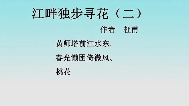 唐詩三百首:江畔獨步尋花(二)作者杜甫