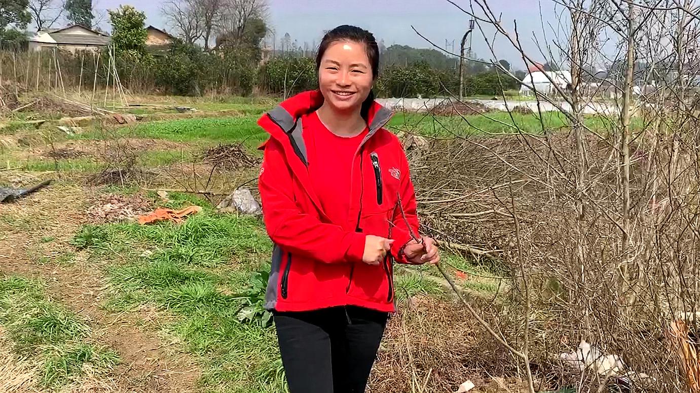 都說農村種地收入低,根本原因是什麼?姑娘這首歌唱出了真相