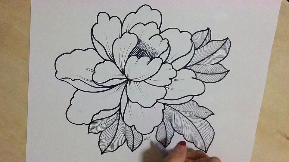 牡丹花简单画法铅笔画图片