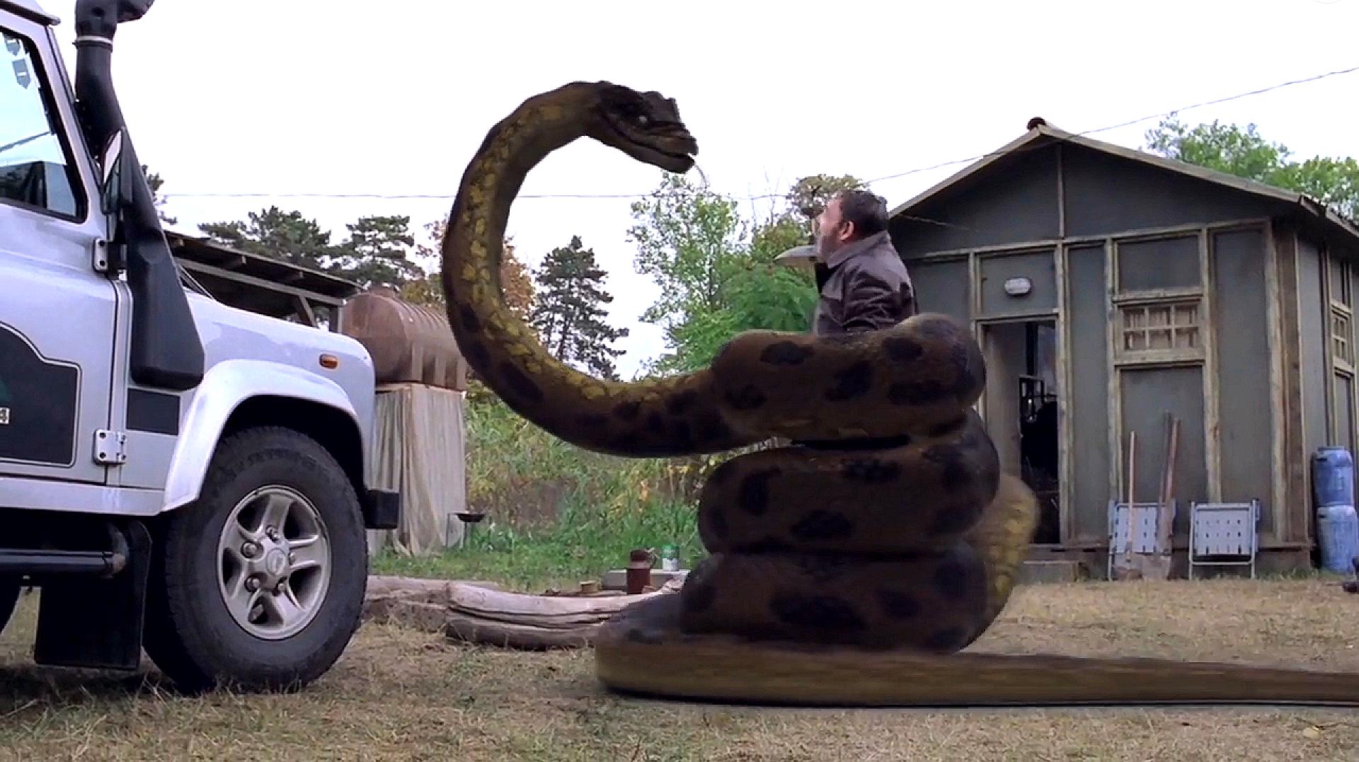 千年巨蟒蛇电影图片